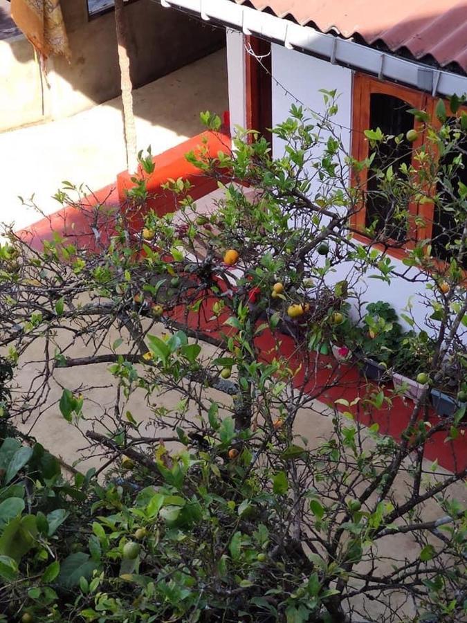 Paul Wood Cabana Otel Nuwara Eliya Dış mekan fotoğraf